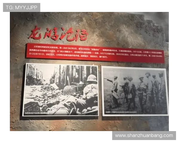 热血铸就丰碑：重温中国远征军史诗，致敬那段不屈的抗战岁月