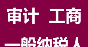 佛山商贸实业贸易 注册一般纳税人资质与进项代购代销全指南